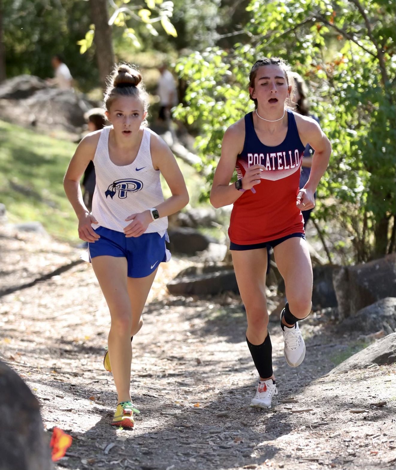 Preston girls cross country